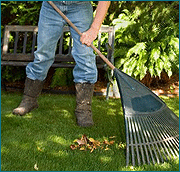 Travaux jardin